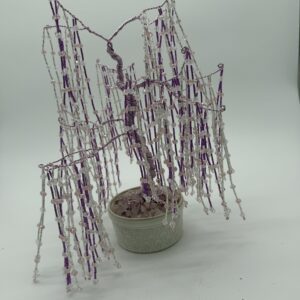 Rain Drop Lexi Wisconsin Willow Tree