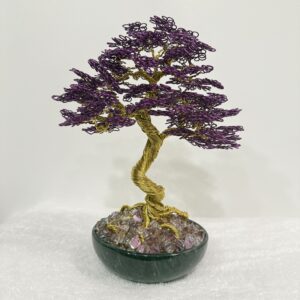 Royal Jenna Bonsai Tree